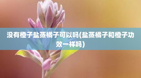 没有橙子盐蒸橘子可以吗(盐蒸橘子和橙子功效一样吗)