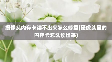 摄像头内存卡读不出来怎么修复(摄像头里的内存卡怎么读出来)
