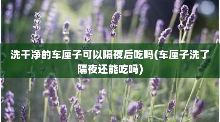 洗干净的车厘子可以隔夜后吃吗(车厘子洗了隔夜还能吃吗)