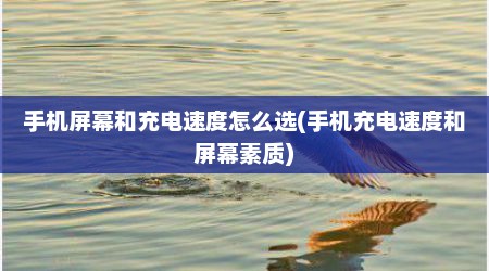 手机屏幕和充电速度怎么选(手机充电速度和屏幕素质)