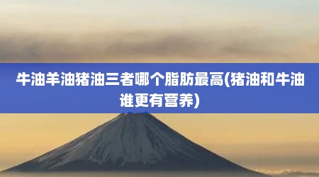 牛油羊油猪油三者哪个脂肪最高(猪油和牛油谁更有营养)
