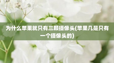 为什么苹果就只有三颗摄像头(苹果几是只有一个摄像头的)