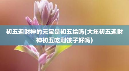 初五迎财神的元宝是初五给吗(大年初五迎财神初五吃剩饺子好吗)