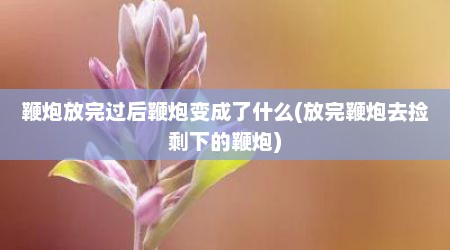 鞭炮放完过后鞭炮变成了什么(放完鞭炮去捡剩下的鞭炮)