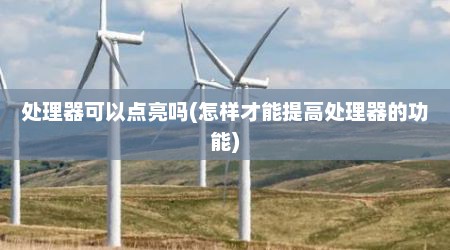 处理器可以点亮吗(怎样才能提高处理器的功能)