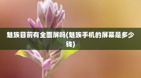 魅族目前有全面屏吗(魅族手机的屏幕是多少钱)