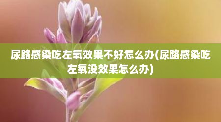 尿路感染吃左氧效果不好怎么办(尿路感染吃左氧没效果怎么办)