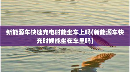 新能源车快速充电时能坐车上吗(新能源车快充时候能坐在车里吗)
