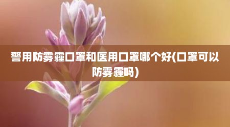 警用防雾霾口罩和医用口罩哪个好(口罩可以防雾霾吗)