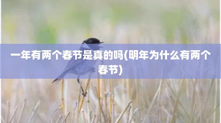 一年有两个春节是真的吗(明年为什么有两个春节)