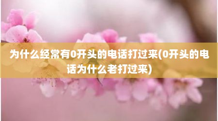 为什么经常有0开头的电话打过来(0开头的电话为什么老打过来)