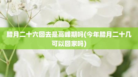 腊月二十六回去是高峰期吗(今年腊月二十几可以回家吗)