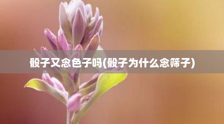 骰子又念色子吗(骰子为什么念筛子)