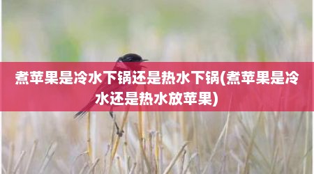 煮苹果是冷水下锅还是热水下锅(煮苹果是冷水还是热水放苹果)