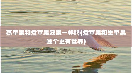 蒸苹果和煮苹果效果一样吗(煮苹果和生苹果哪个更有营养)