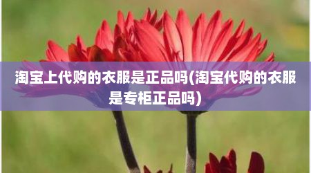 淘宝上代购的衣服是正品吗(淘宝代购的衣服是专柜正品吗)
