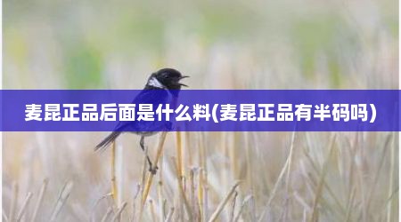 麦昆正品后面是什么料(麦昆正品有半码吗)