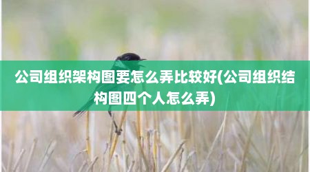 公司组织架构图要怎么弄比较好(公司组织结构图四个人怎么弄)