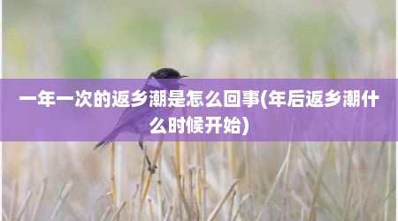 一年一次的返乡潮是怎么回事(年后返乡潮什么时候开始)