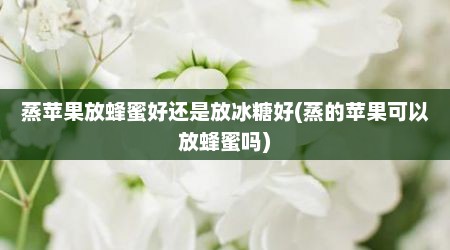 蒸苹果放蜂蜜好还是放冰糖好(蒸的苹果可以放蜂蜜吗)