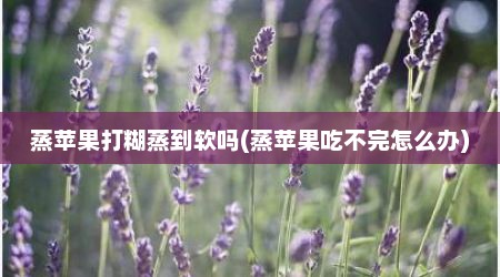 蒸苹果打糊蒸到软吗(蒸苹果吃不完怎么办)