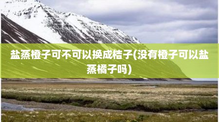 盐蒸橙子可不可以换成桔子(没有橙子可以盐蒸橘子吗)