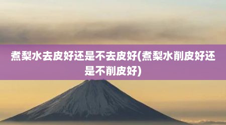 煮梨水去皮好还是不去皮好(煮梨水削皮好还是不削皮好)