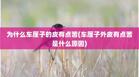 为什么车厘子的皮有点苦(车厘子外皮有点苦是什么原因)
