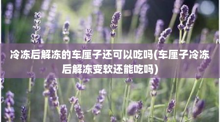 冷冻后解冻的车厘子还可以吃吗(车厘子冷冻后解冻变软还能吃吗)