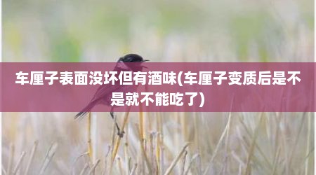 车厘子表面没坏但有酒味(车厘子变质后是不是就不能吃了)