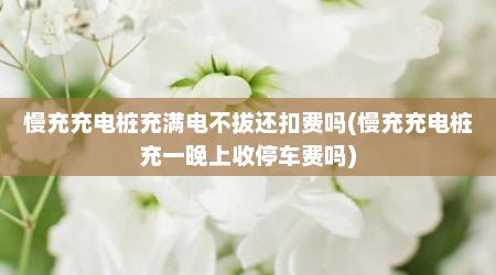 慢充充电桩充满电不拔还扣费吗(慢充充电桩充一晚上收停车费吗)