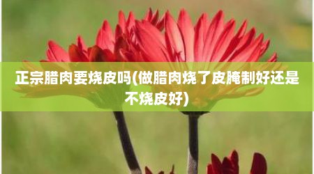 正宗腊肉要烧皮吗(做腊肉烧了皮腌制好还是不烧皮好)