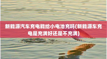 新能源汽车充电能给小电池充吗(新能源车充电是充满好还是不充满)