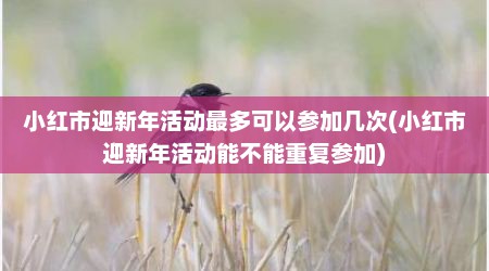 小红市迎新年活动最多可以参加几次(小红市迎新年活动能不能重复参加)