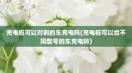 充电桩可以对别的车充电吗(充电桩可以给不同型号的车充电吗)