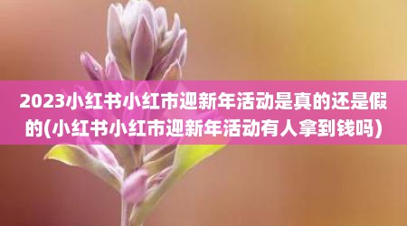 2023小红书小红市迎新年活动是真的还是假的(小红书小红市迎新年活动有人拿到钱吗)