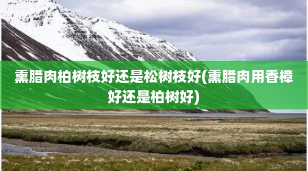 熏腊肉柏树枝好还是松树枝好(熏腊肉用香樟好还是柏树好)