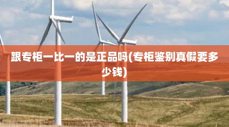 跟专柜一比一的是正品吗(专柜鉴别真假要多少钱)