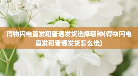 得物闪电直发和普通发货选择哪种(得物闪电直发和普通发货怎么选)