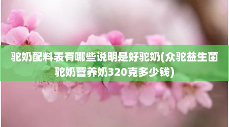 驼奶配料表有哪些说明是好驼奶(众驼益生菌驼奶营养奶320克多少钱)