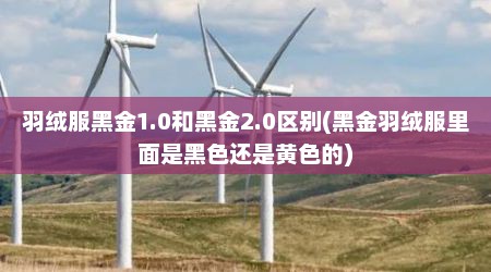 羽绒服黑金1.0和黑金2.0区别(黑金羽绒服里面是黑色还是黄色的)