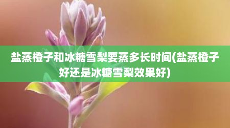 盐蒸橙子和冰糖雪梨要蒸多长时间(盐蒸橙子好还是冰糖雪梨效果好)