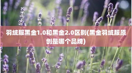 羽绒服黑金1.0和黑金2.0区别(黑金羽绒服原创是哪个品牌)