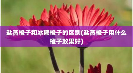 盐蒸橙子和冰糖橙子的区别(盐蒸橙子用什么橙子效果好)