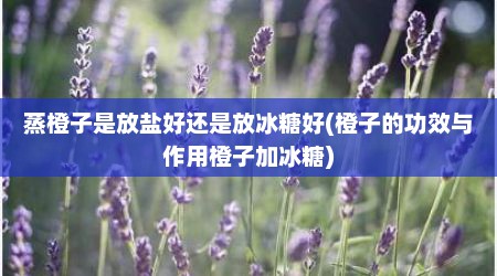 蒸橙子是放盐好还是放冰糖好(橙子的功效与作用橙子加冰糖)