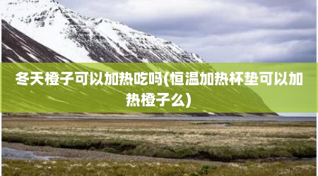 冬天橙子可以加热吃吗(恒温加热杯垫可以加热橙子么)
