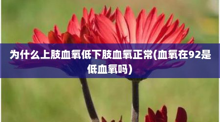为什么上肢血氧低下肢血氧正常(血氧在92是低血氧吗)