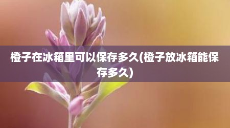橙子在冰箱里可以保存多久(橙子放冰箱能保存多久)