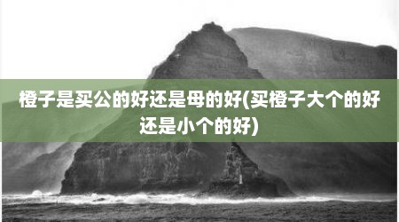 橙子是买公的好还是母的好(买橙子大个的好还是小个的好)