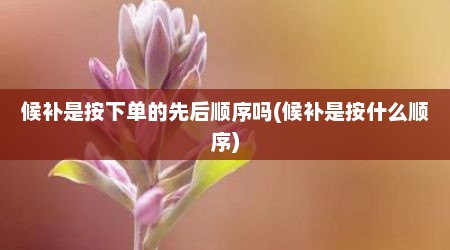 候补是按下单的先后顺序吗(候补是按什么顺序)